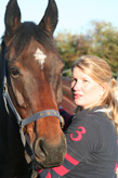 equine-animal-reiki